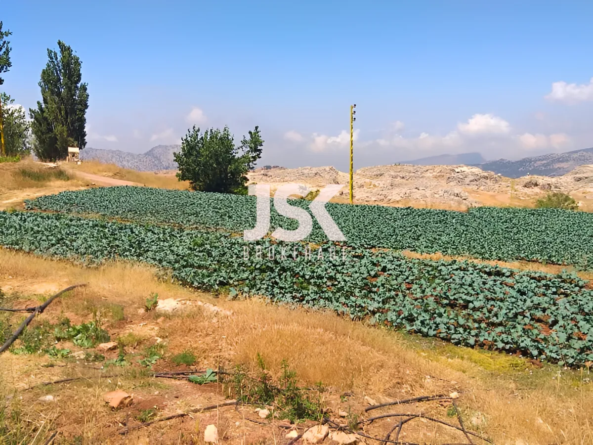 Land for Sale in Laqlouq, Lebanon
