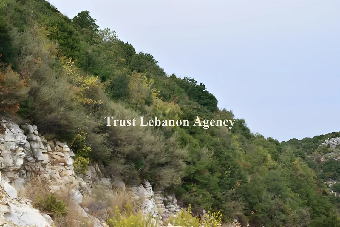 Land for Sale in Batroun, Chabtine