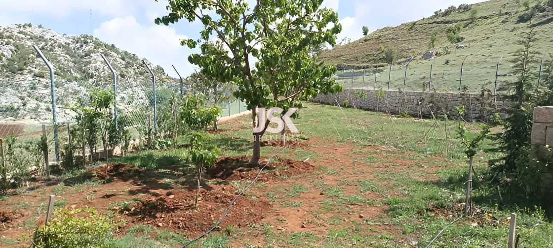 Villa for Rent in Wata El Jaouz