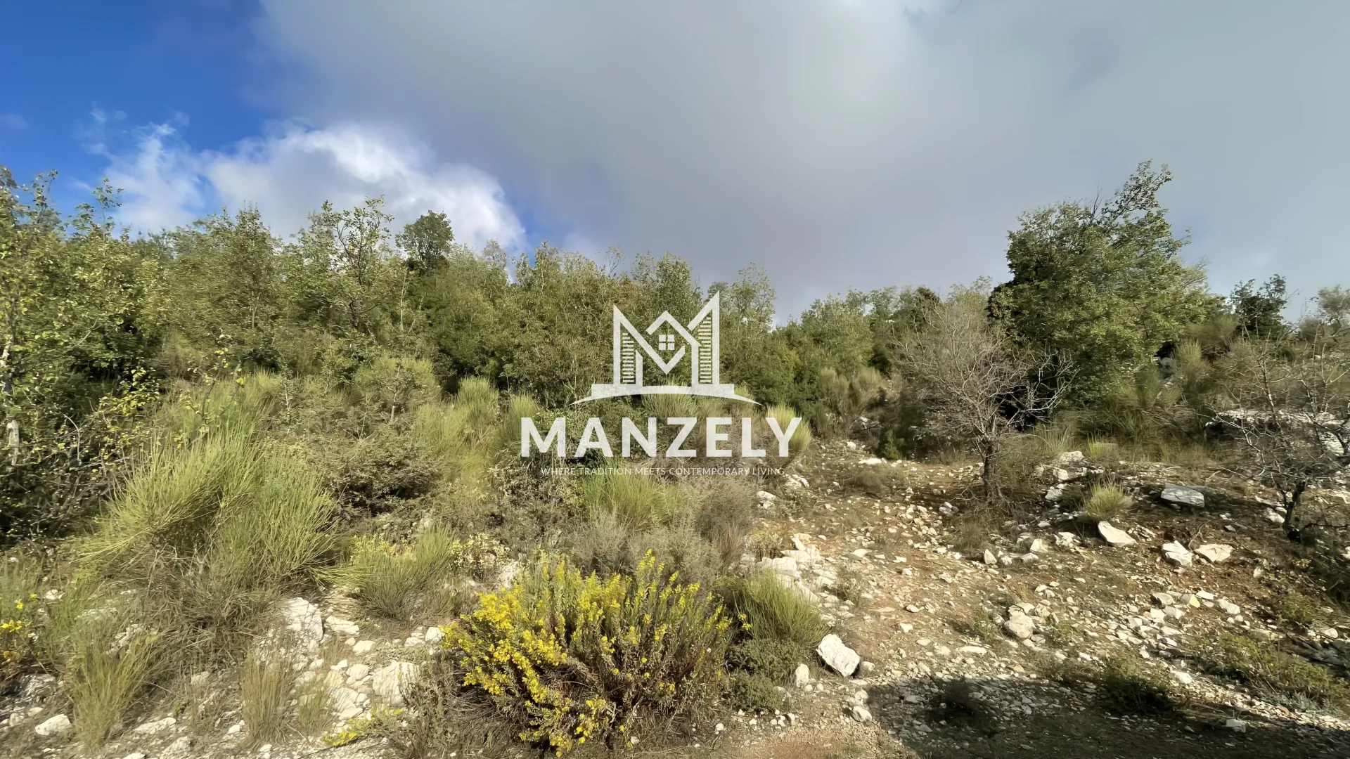 Land for Sale in Mechmech, Lebanon