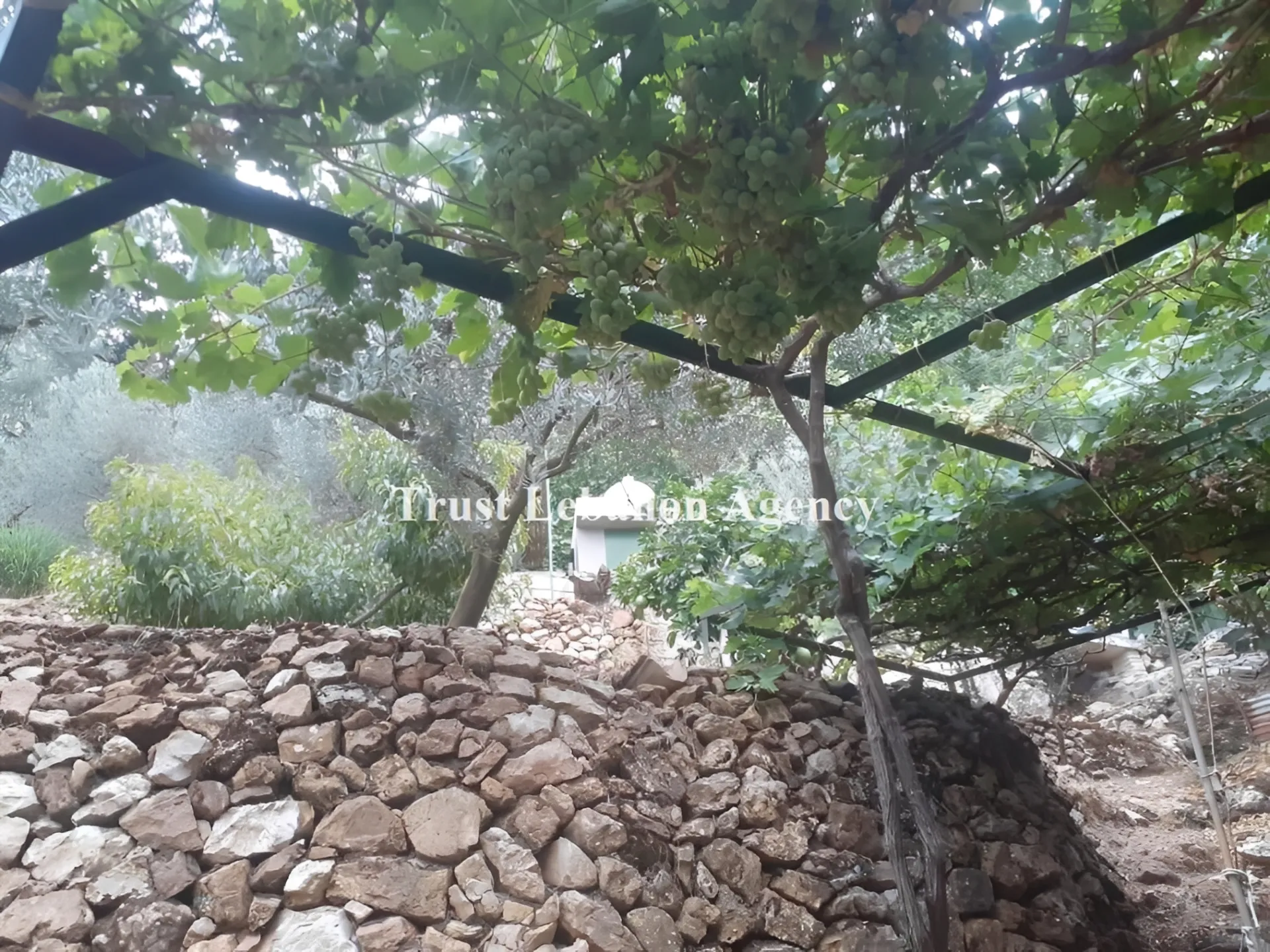 Land for Sale in Jezzine