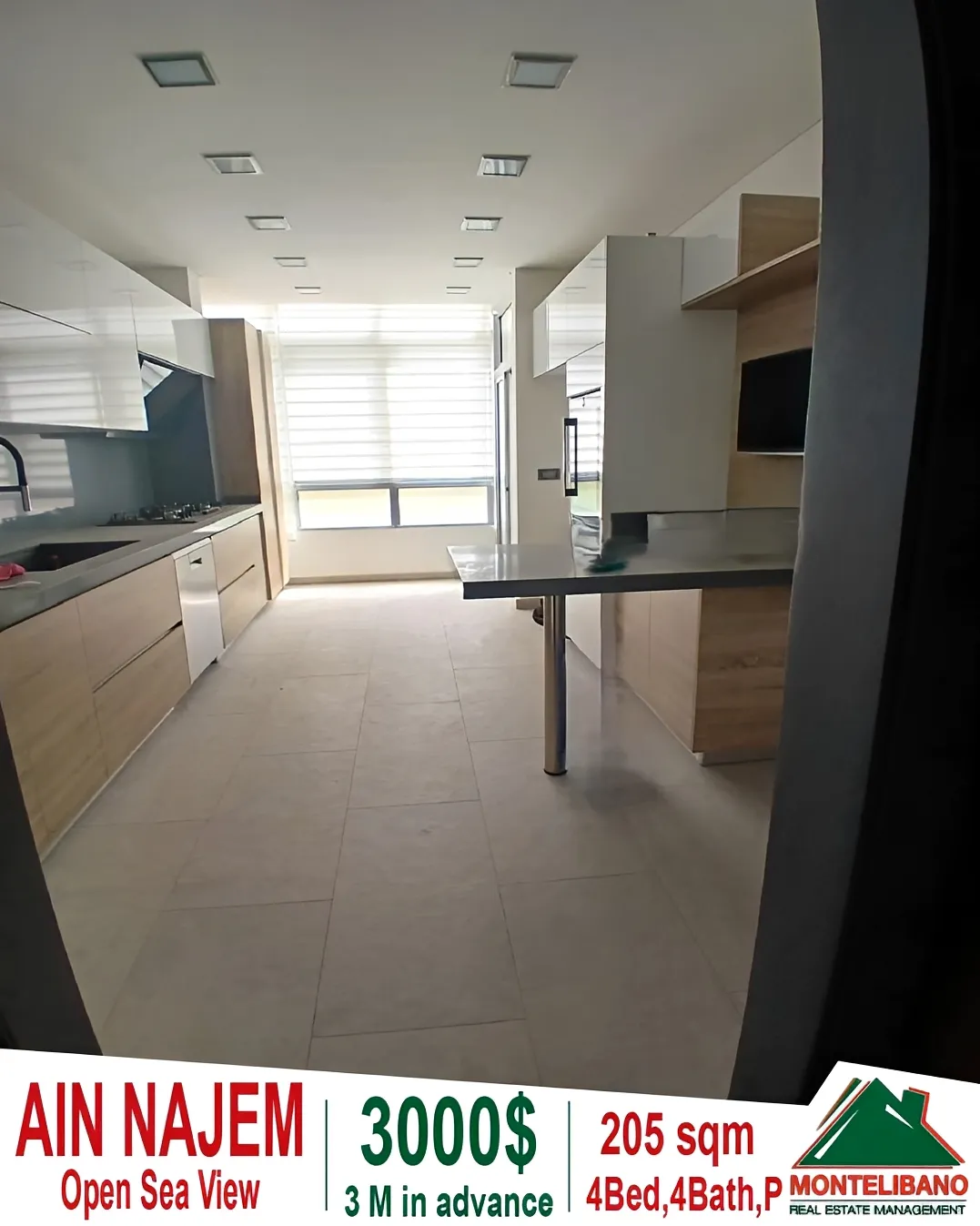 Apartment for rent in Ain Saadeh, Lebanon - 4 bed, 4 bath