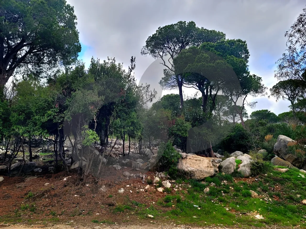 Land for Sale in Baabdat