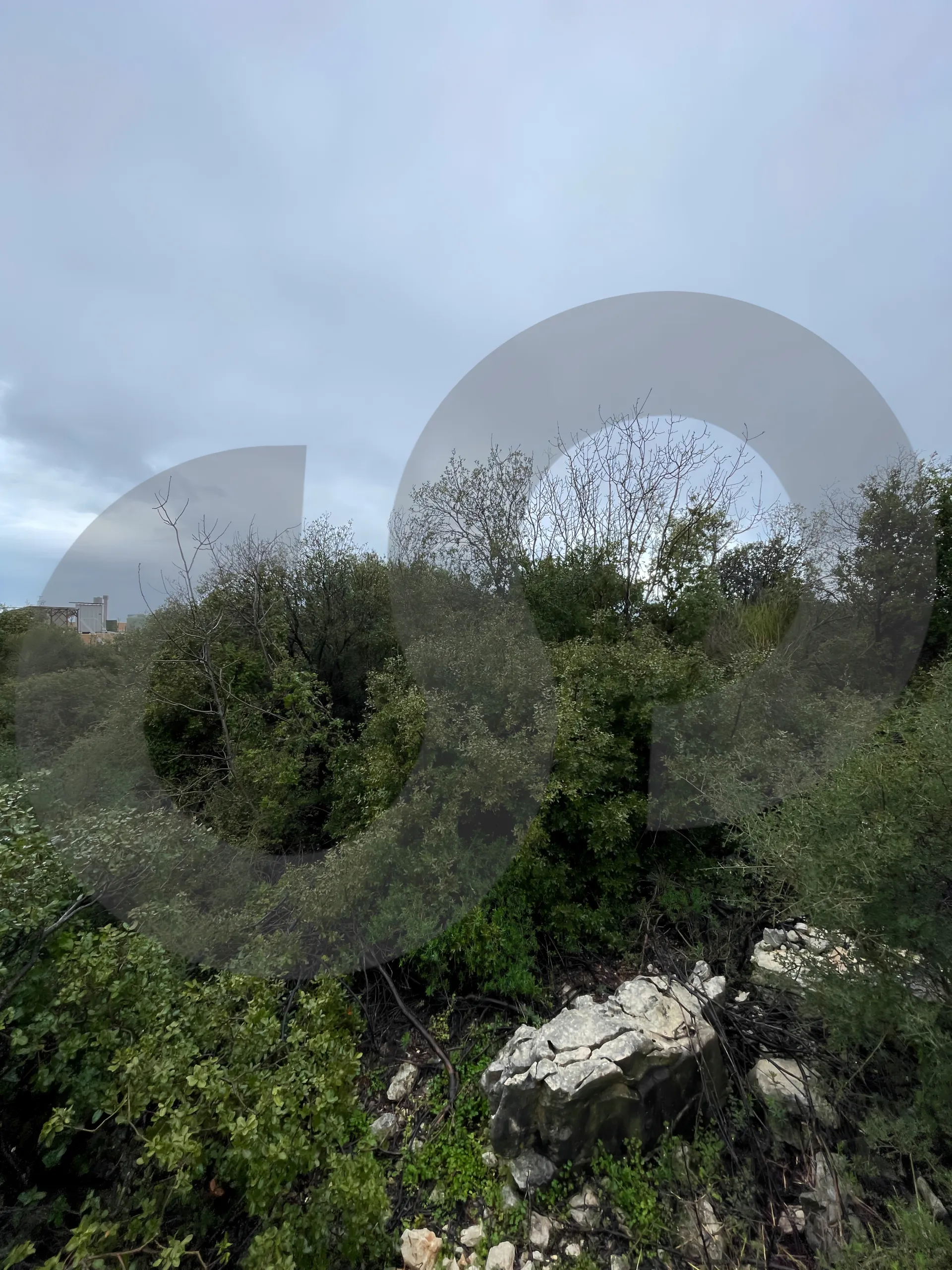 Land for Sale in Byblos