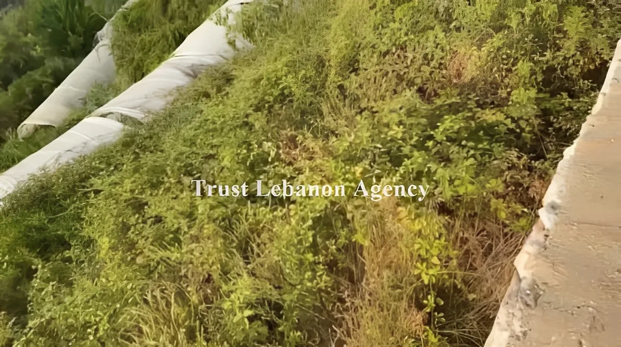 Land for Sale in Jbeil Lebanon