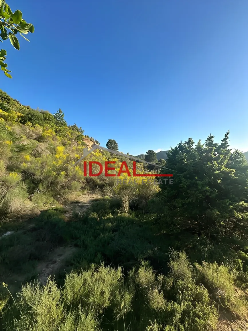 Land for Sale in Jbaa, Lebanon
