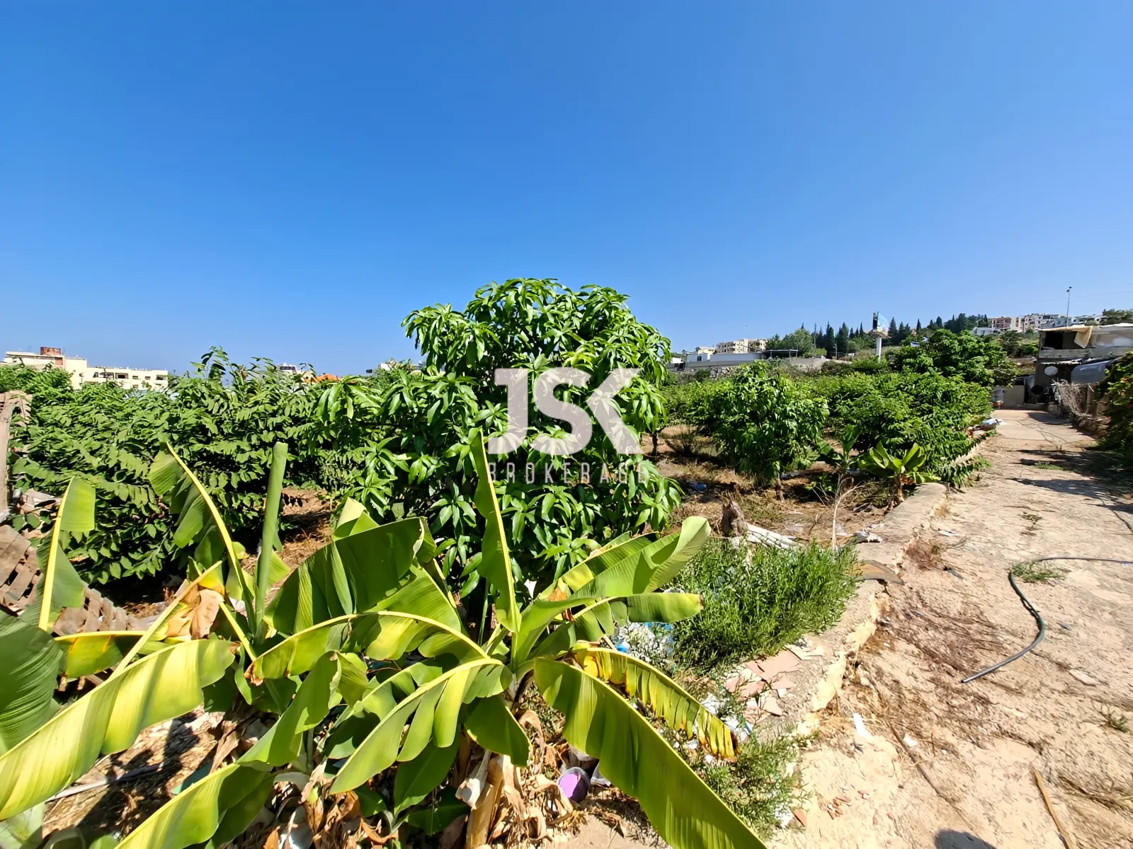 Land for Rent in Aamchit