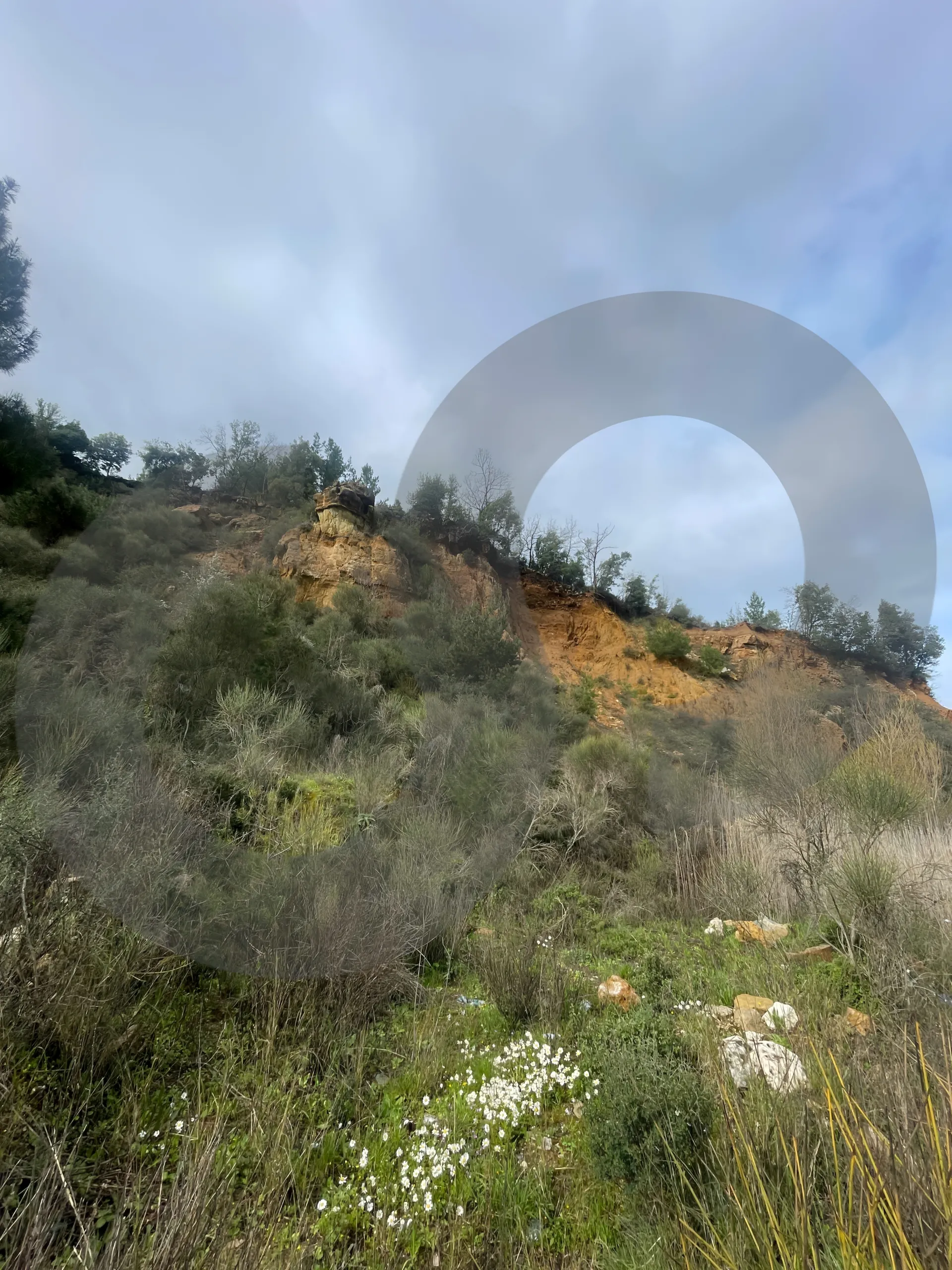 Land for Sale in Ain Ed Delb
