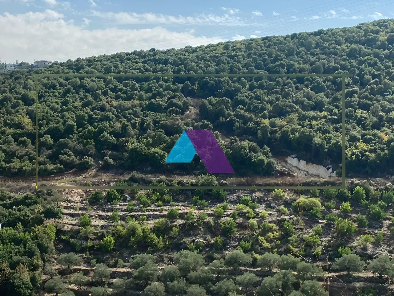 Land for Sale in Batroun
