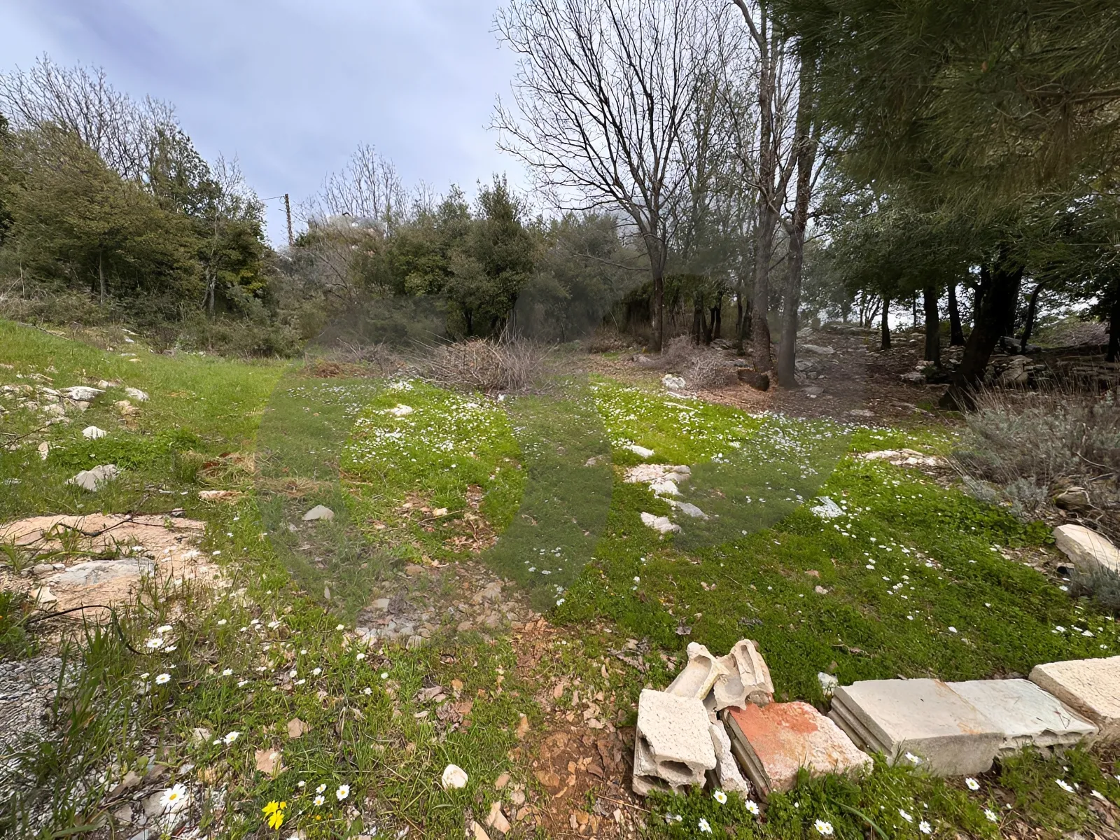Land for Sale in Aannaya
