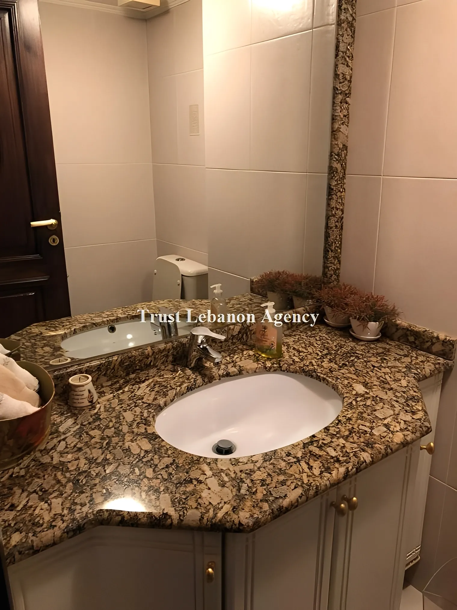Apartment for Rent in Metn Rabieh Lebanon