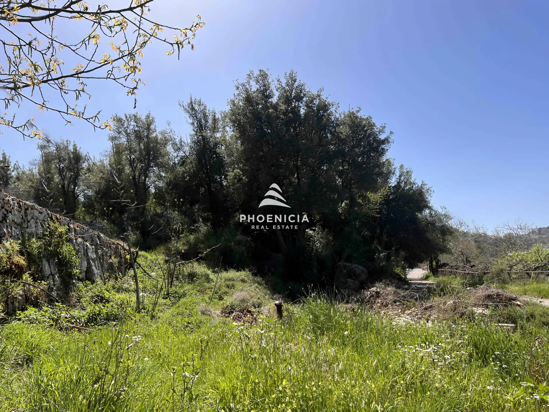 Land for Sale in Lehfed