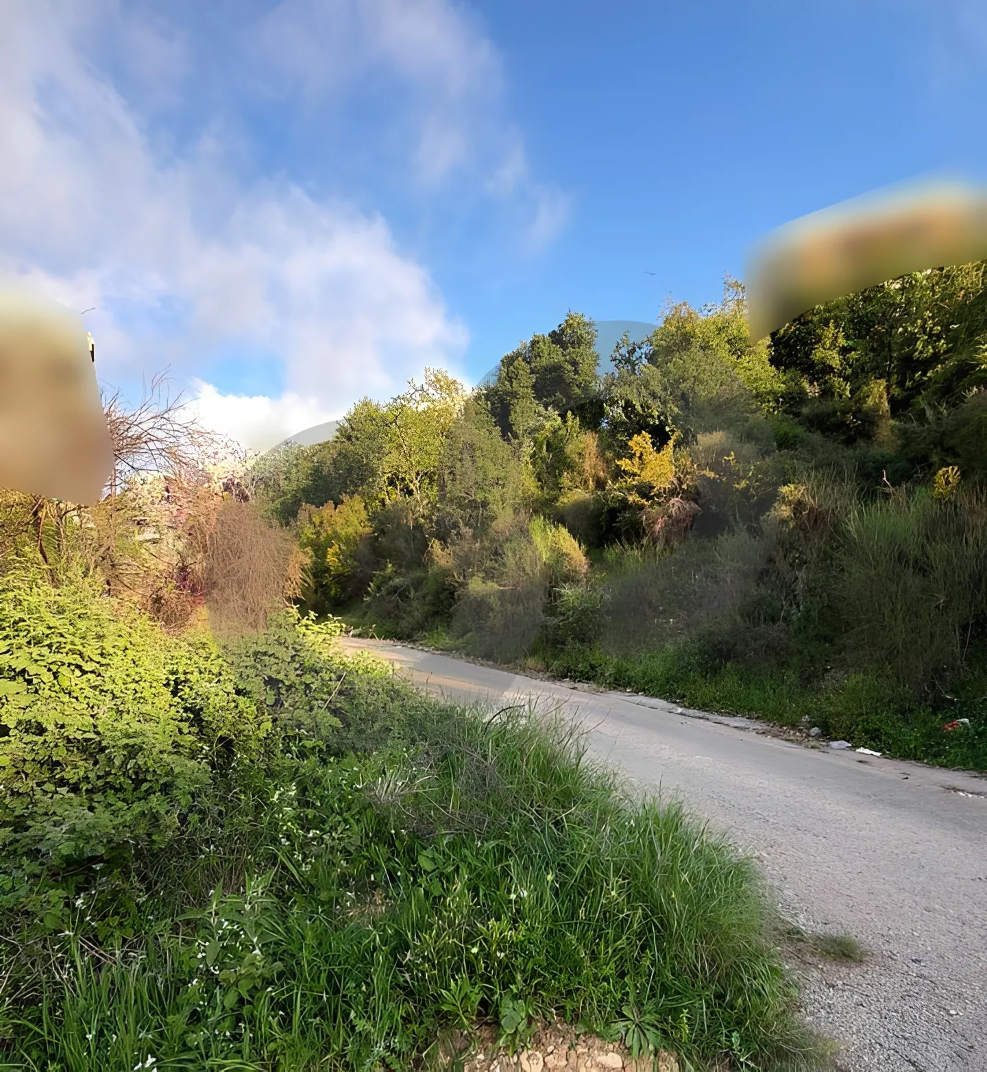 Land for Sale in Habboub