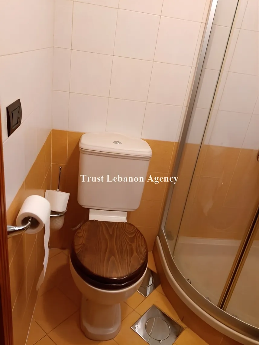 Apartment for Rent in Metn Fanar Lebanon