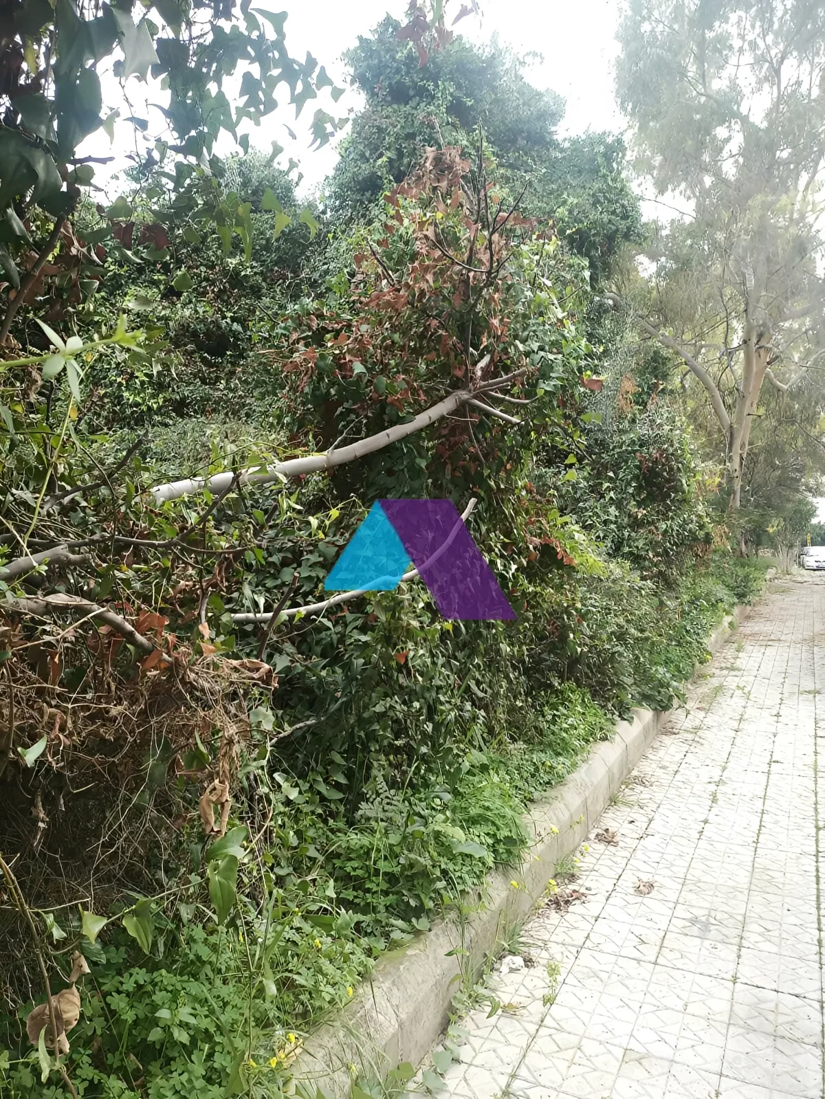 Land for Sale in Hazmieh