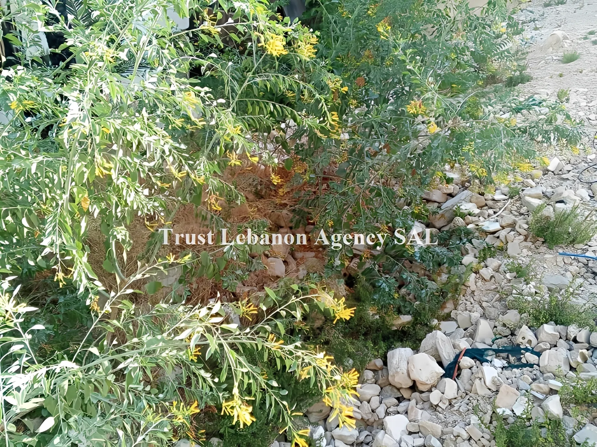 Land for Sale in Ashrafieh Beirut