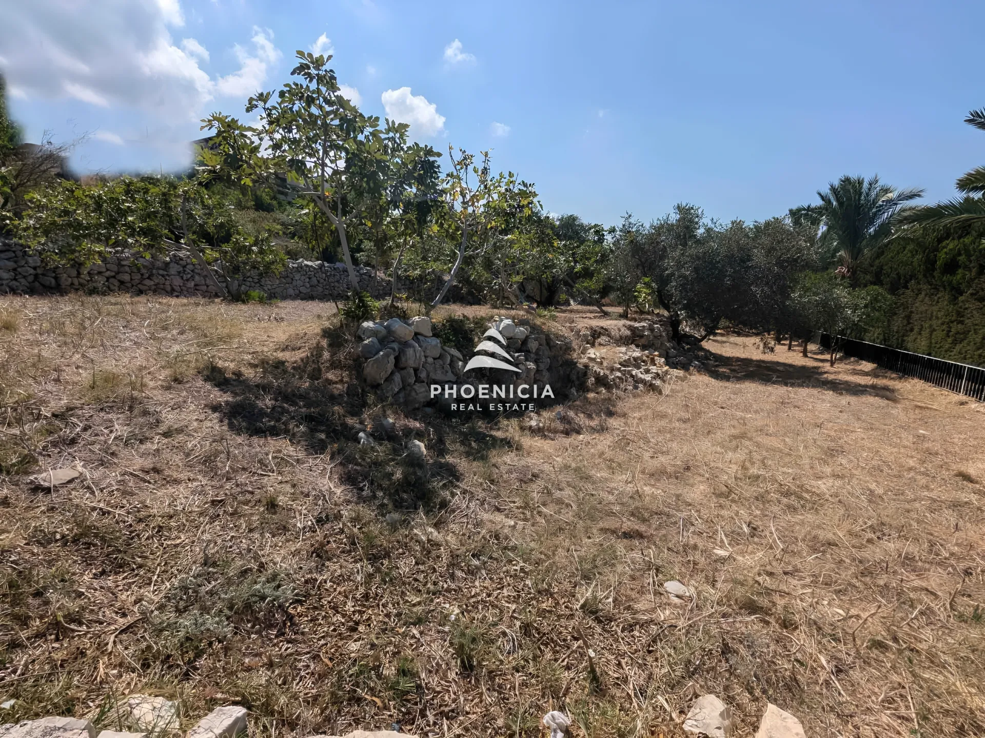 Land for Sale in Berbara