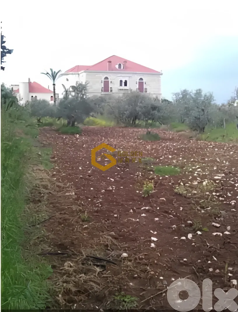 Land for Sale in Byblos
