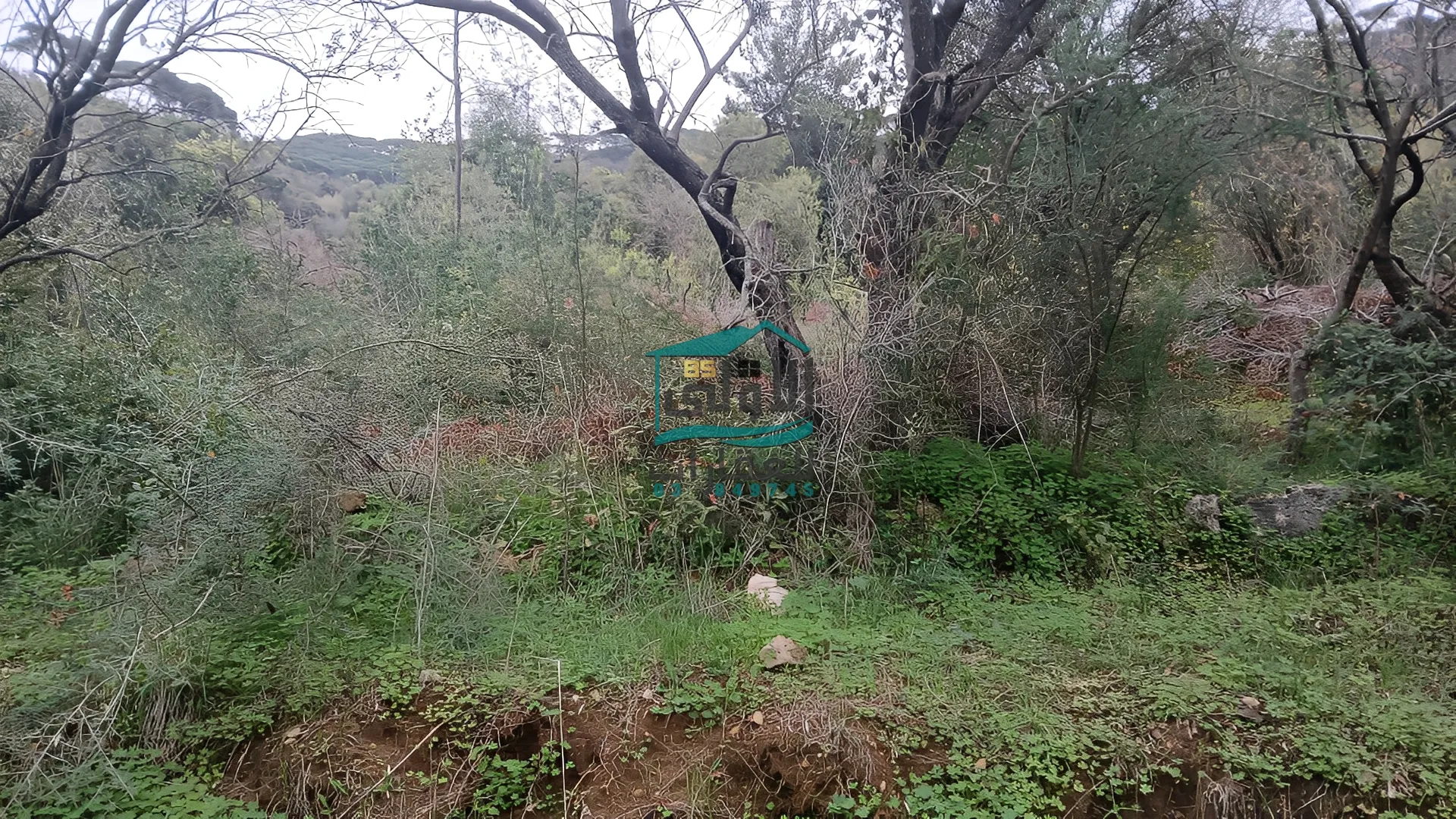 Land in Daqqoun, lebanon