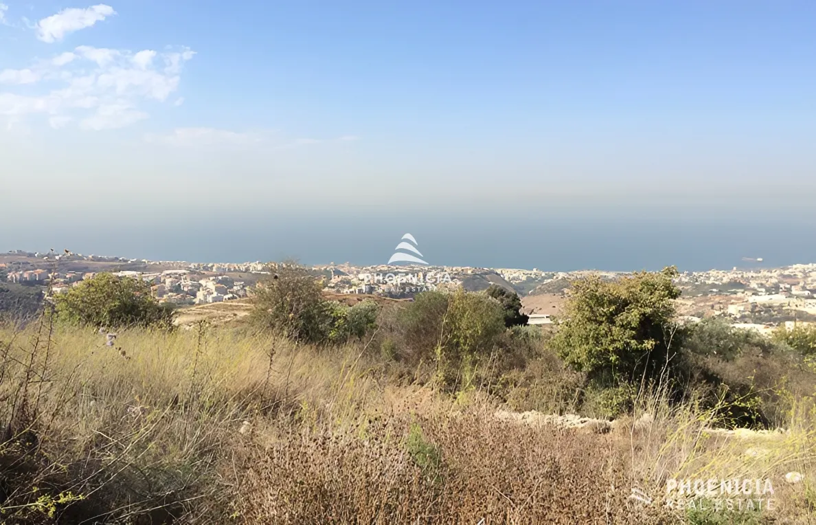 Land for Sale in Edde