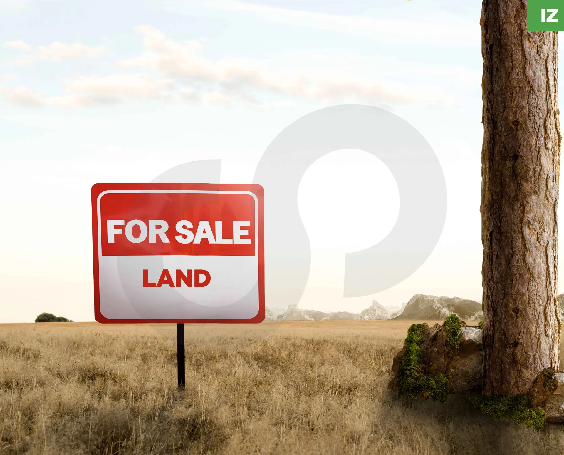 Land for Sale in Saifi Village