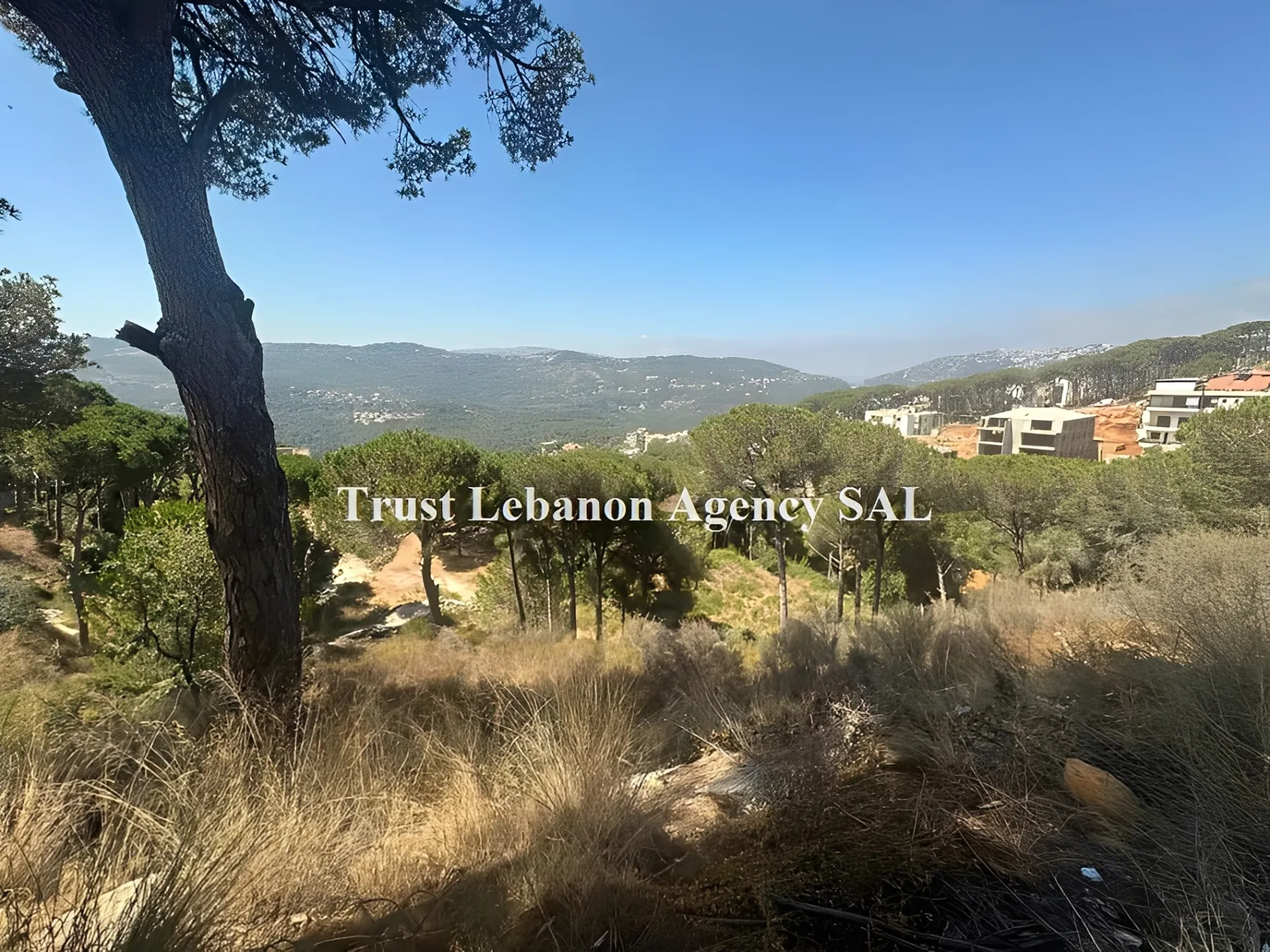 Land for Sale in Metn Oyoun Lebanon