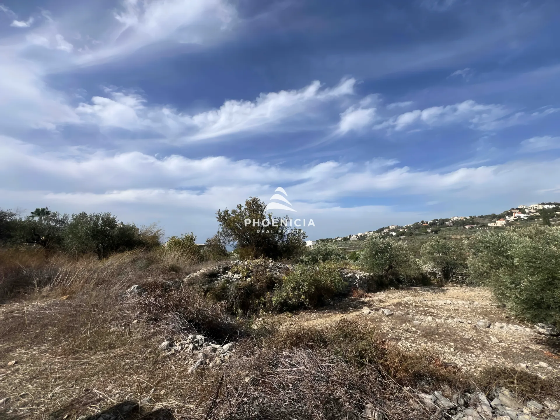 Land for Sale in Chikhane
