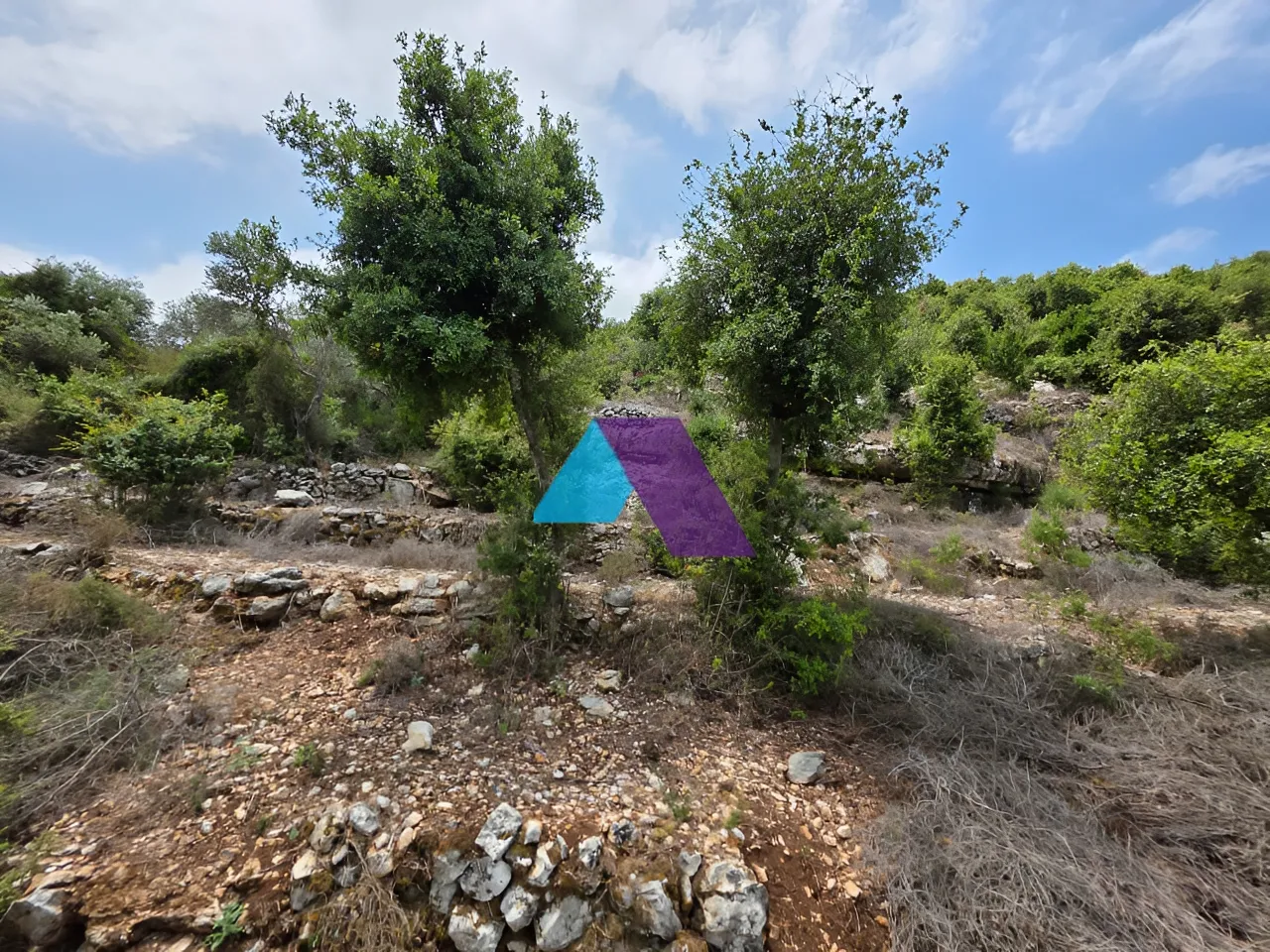 Land for Sale in Batroun