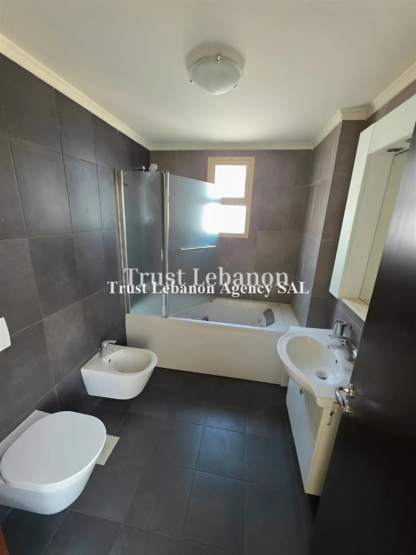 Apartment for rent in Hadath, Lebanon