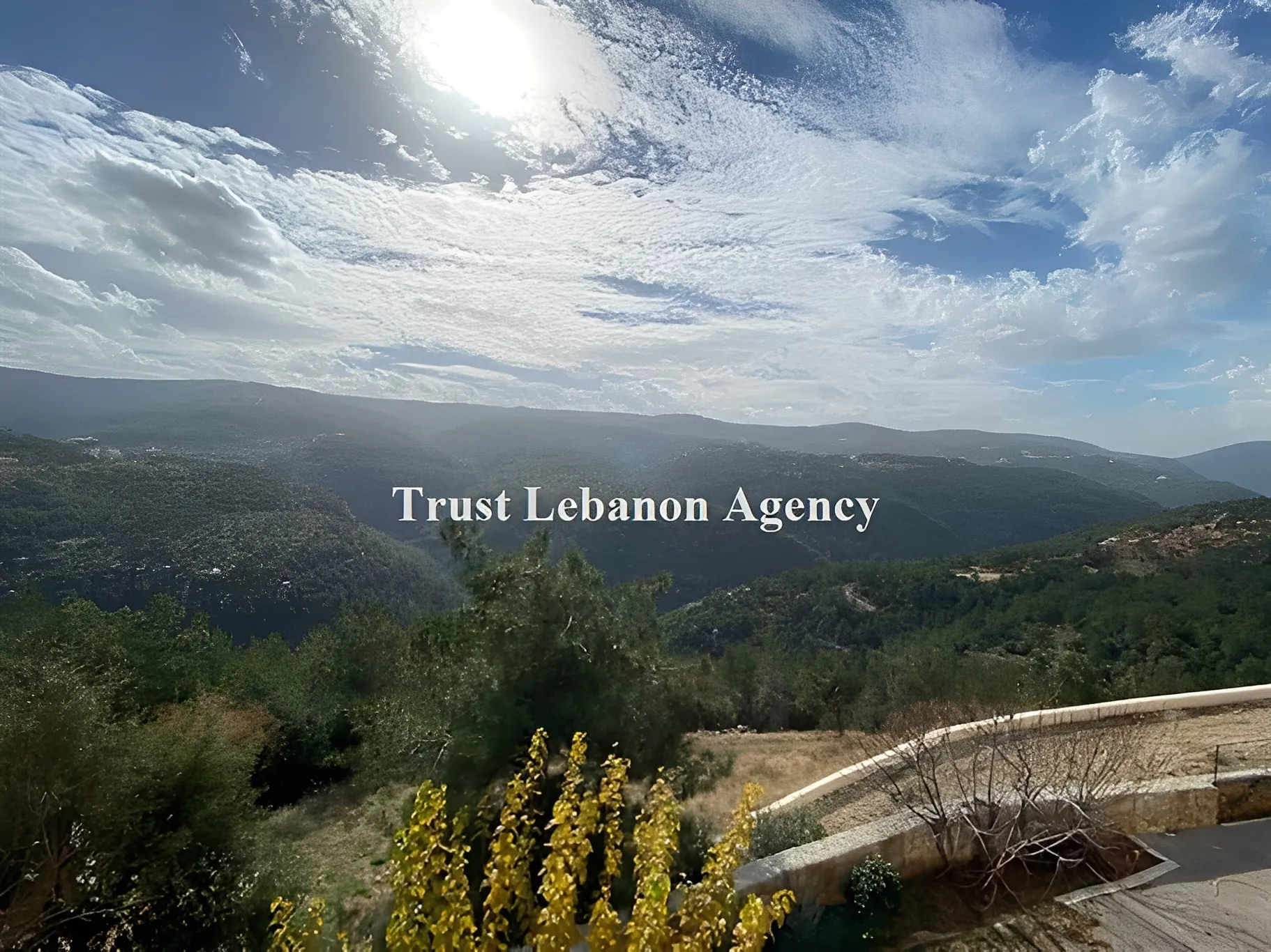 Apartment for Rent in Metn Broumana Lebanon