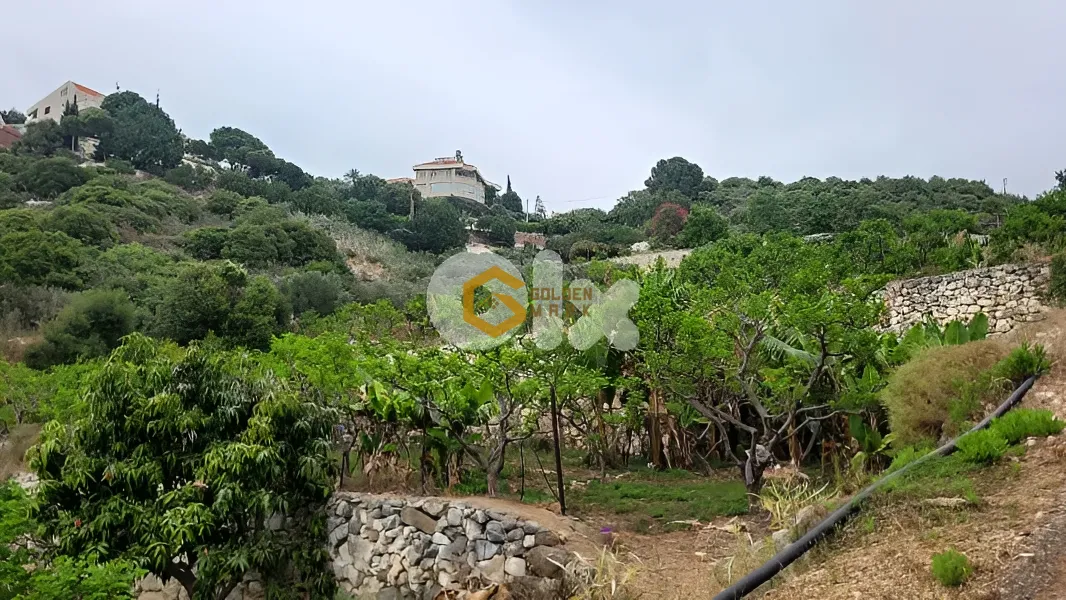 Land for Sale in Berbara