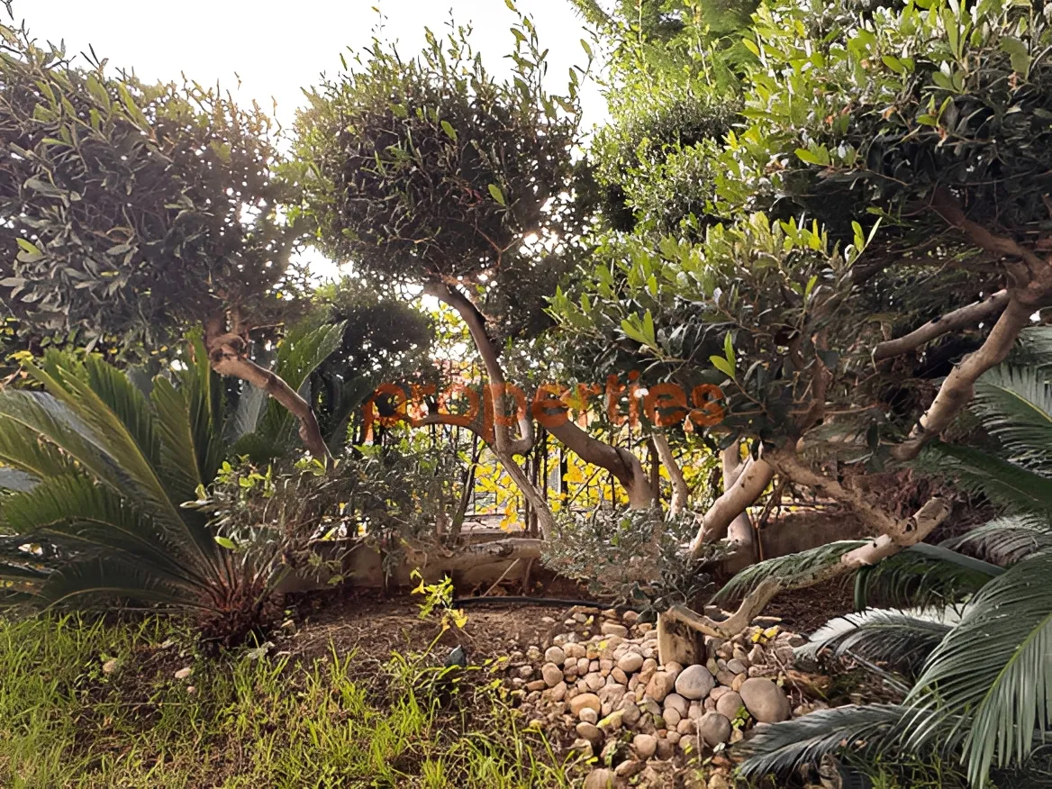 Apartment for Sale in Beit Misk