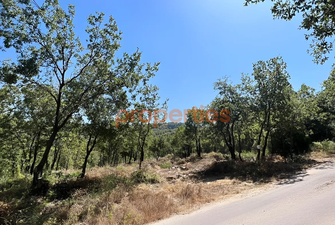 Residential Land for Sale in Kfar Aaqab