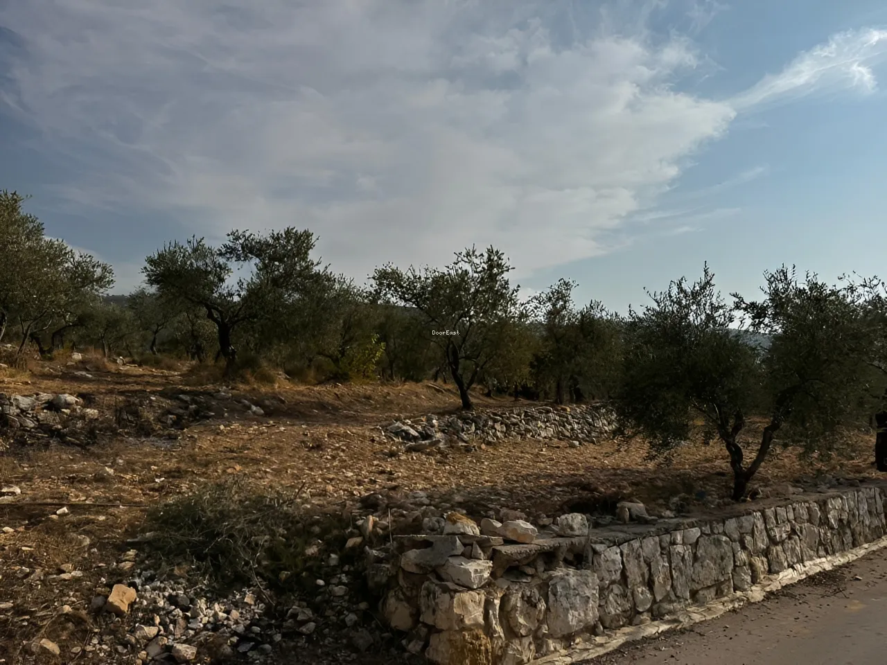 Land for sale in Koura, lebanon