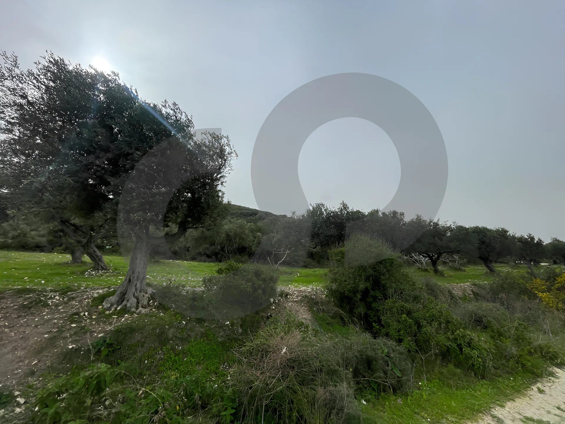 Land for Sale in Chekka