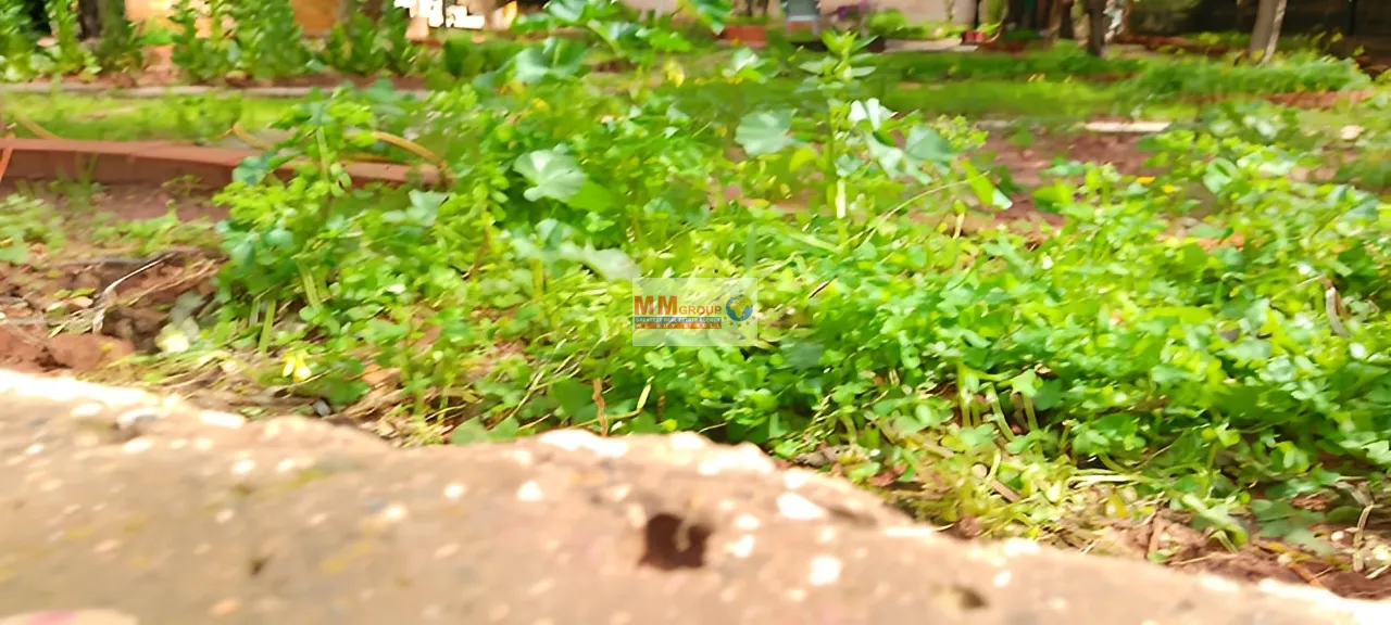 Land for Sale in Mansourieh - Daychounieh