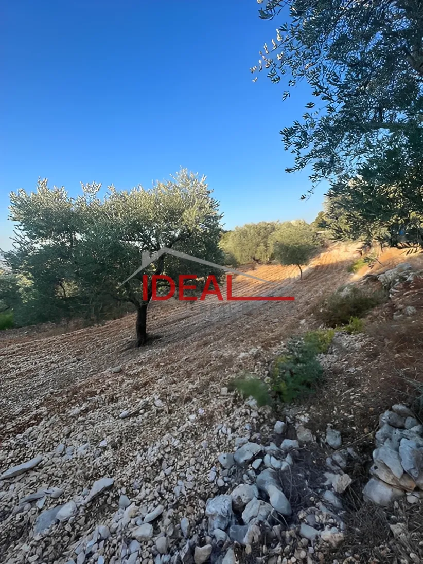 Land for Sale in Halta, Lebanon