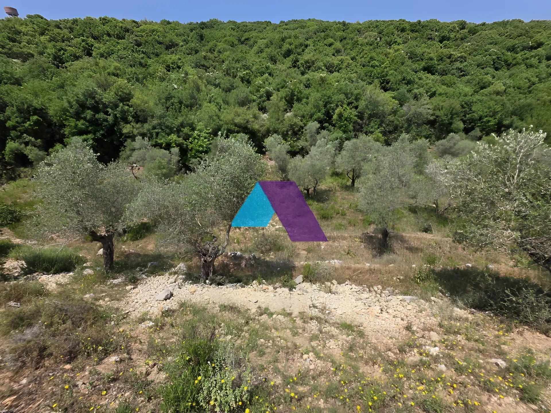 Land for Sale in Batroun
