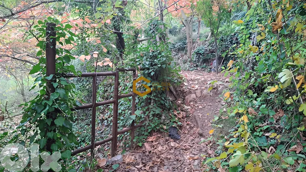 Land for Sale in Bsharri