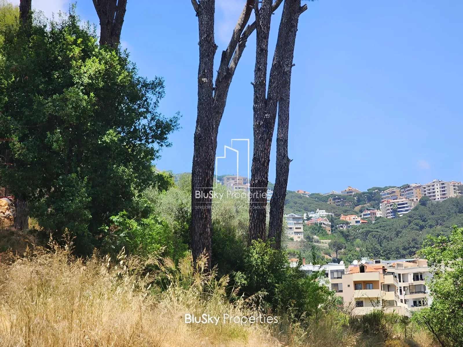 Land for Sale in Ouyoun Broumana