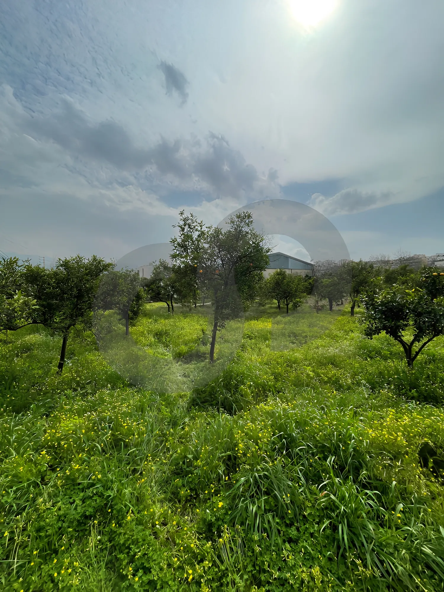 Land for Sale in Zgharta