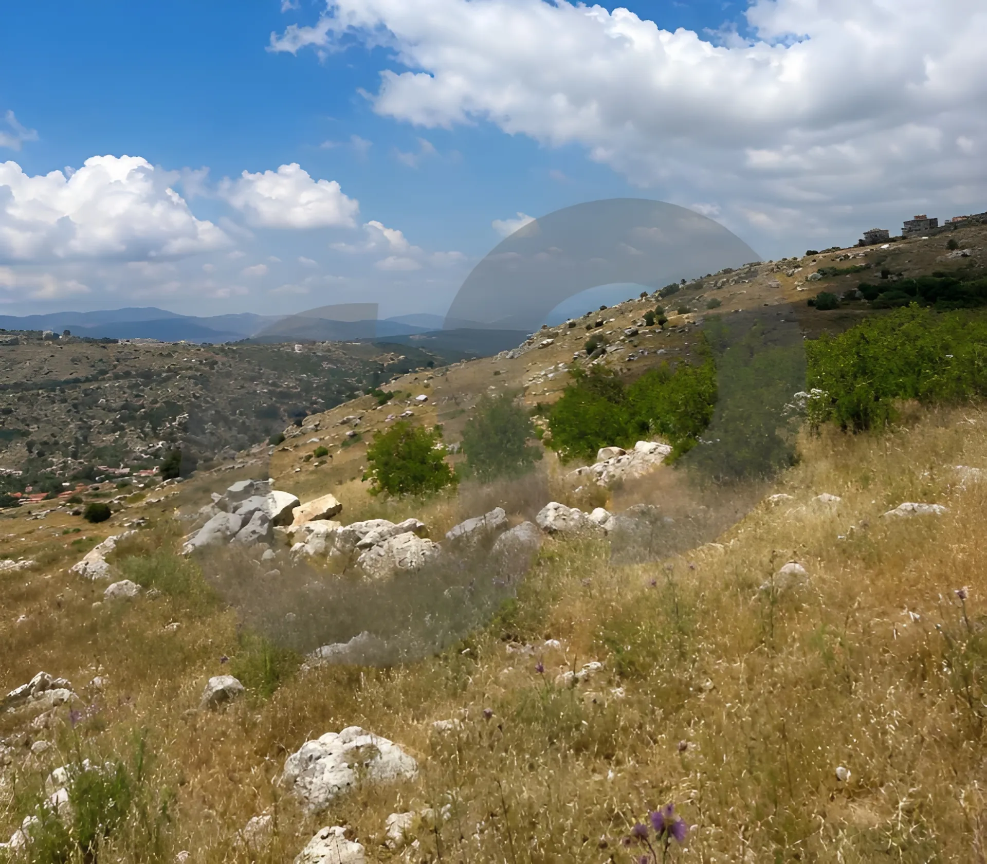 Land for Sale in Tarchich