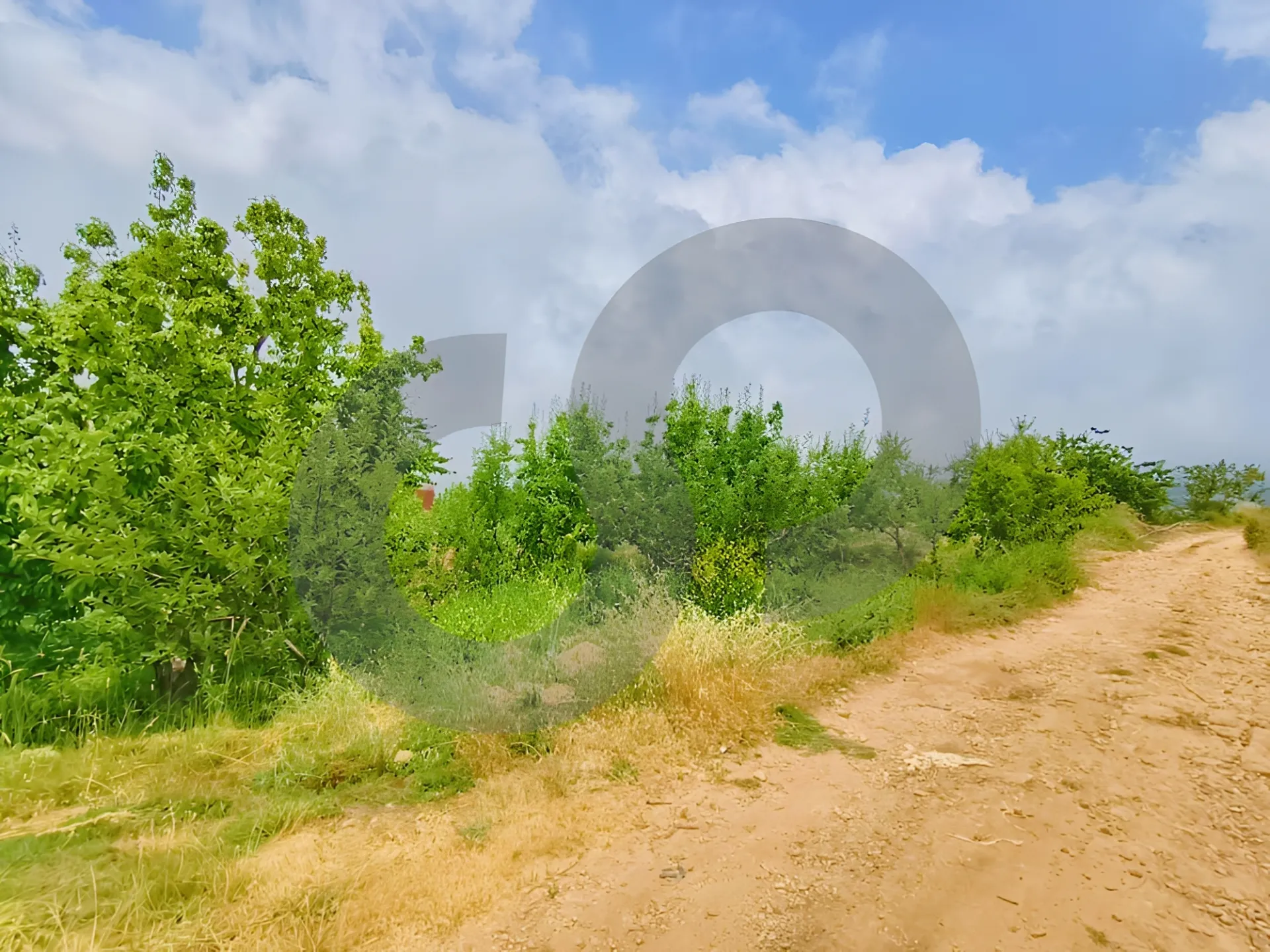Land for Sale in Ehden