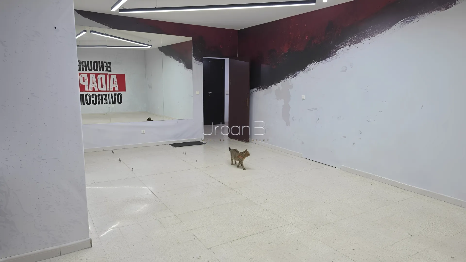 Commercial in Jdeideh, lebanon
