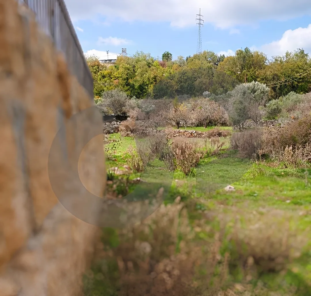 Land for Sale in Aley