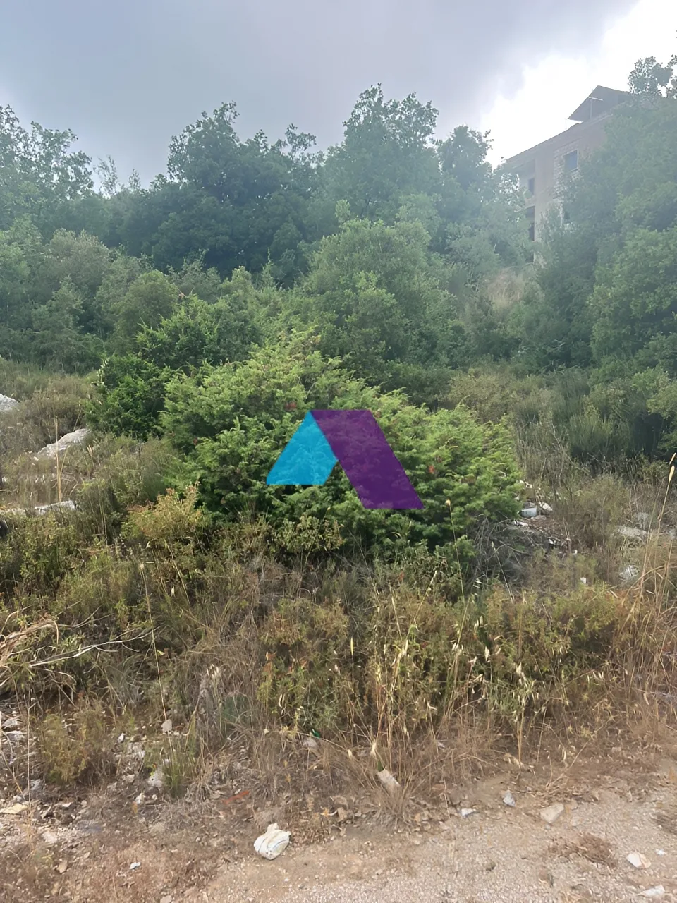 Land for Sale in Bikfaiya