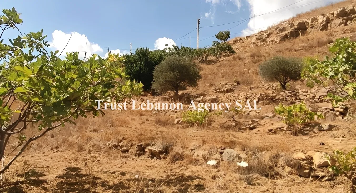 Land for Sale in Alay, Sawfar