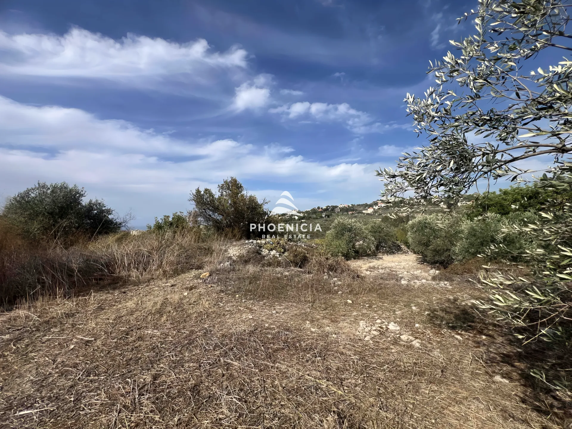 Land for Sale in Chikhane