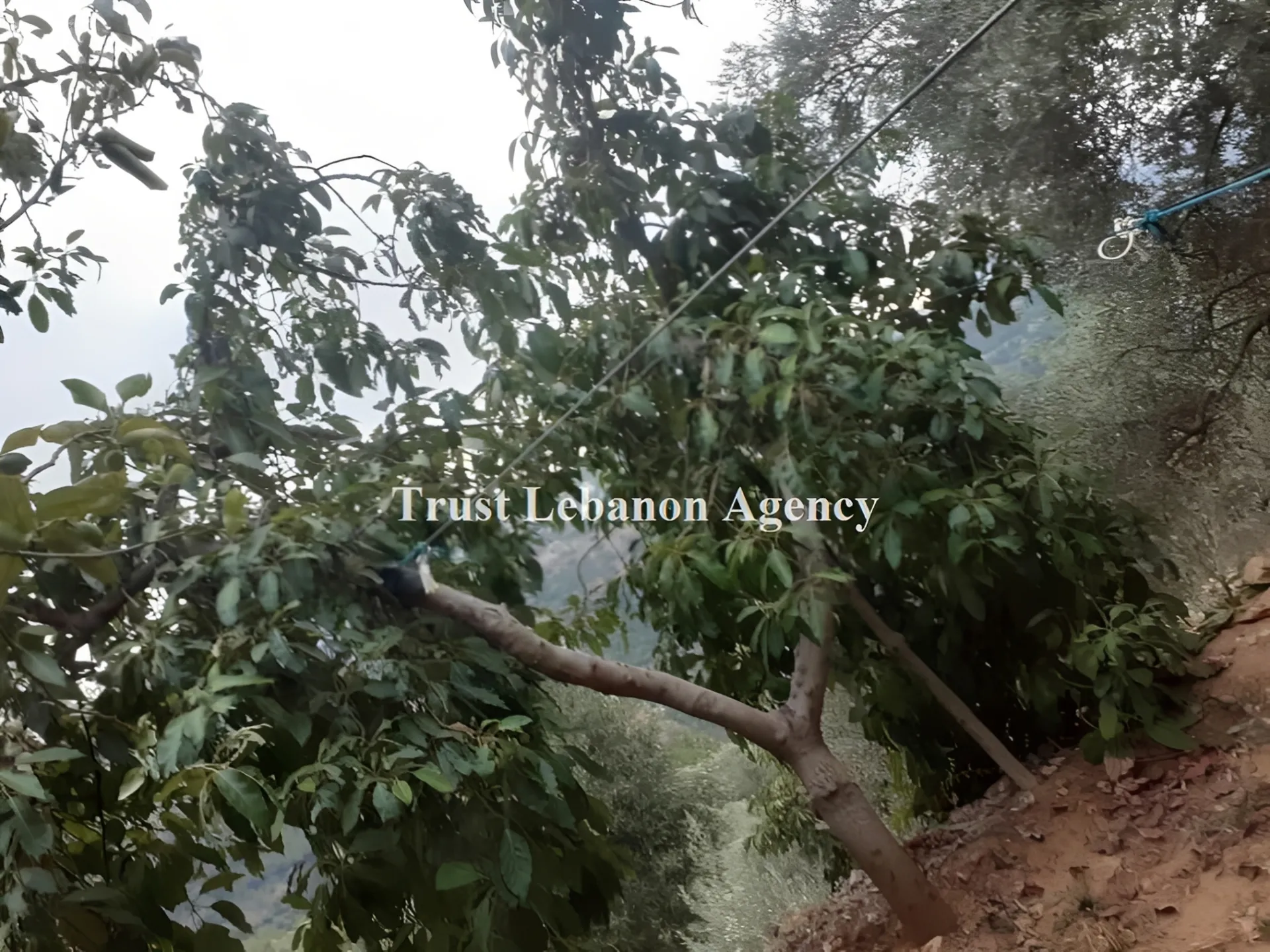 Land for Sale in Jezzine