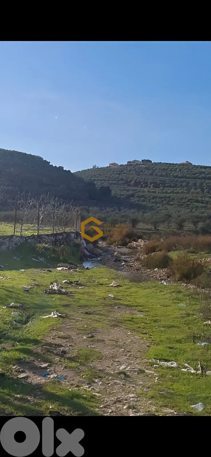 Land for Sale in Bziza